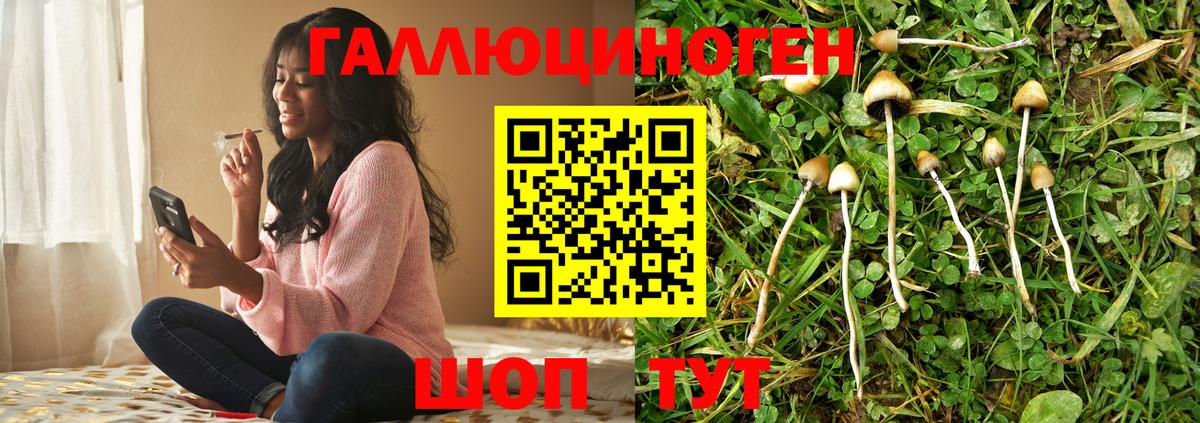 Галлюциногенные грибы MAGIC MUSHROOMS Боровичи